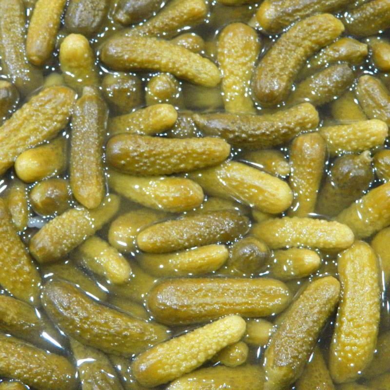 خيار قشة مستورد فاخر بالوزن